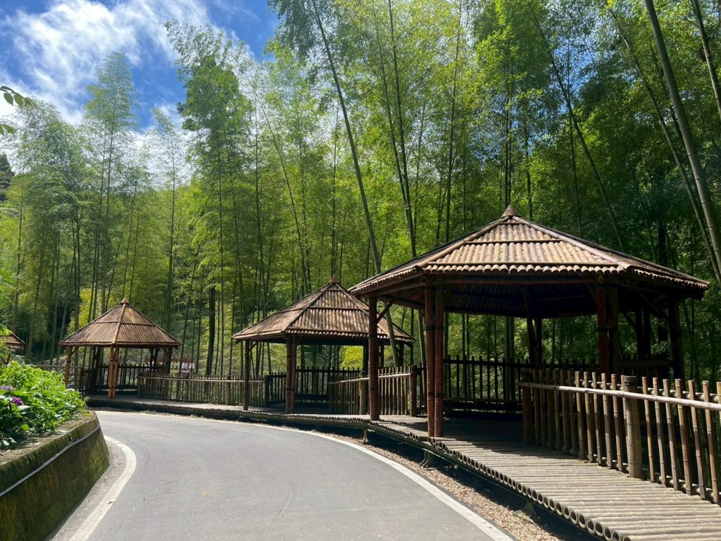 嵐山再古坑。五元兩角 木馬古道_2806125