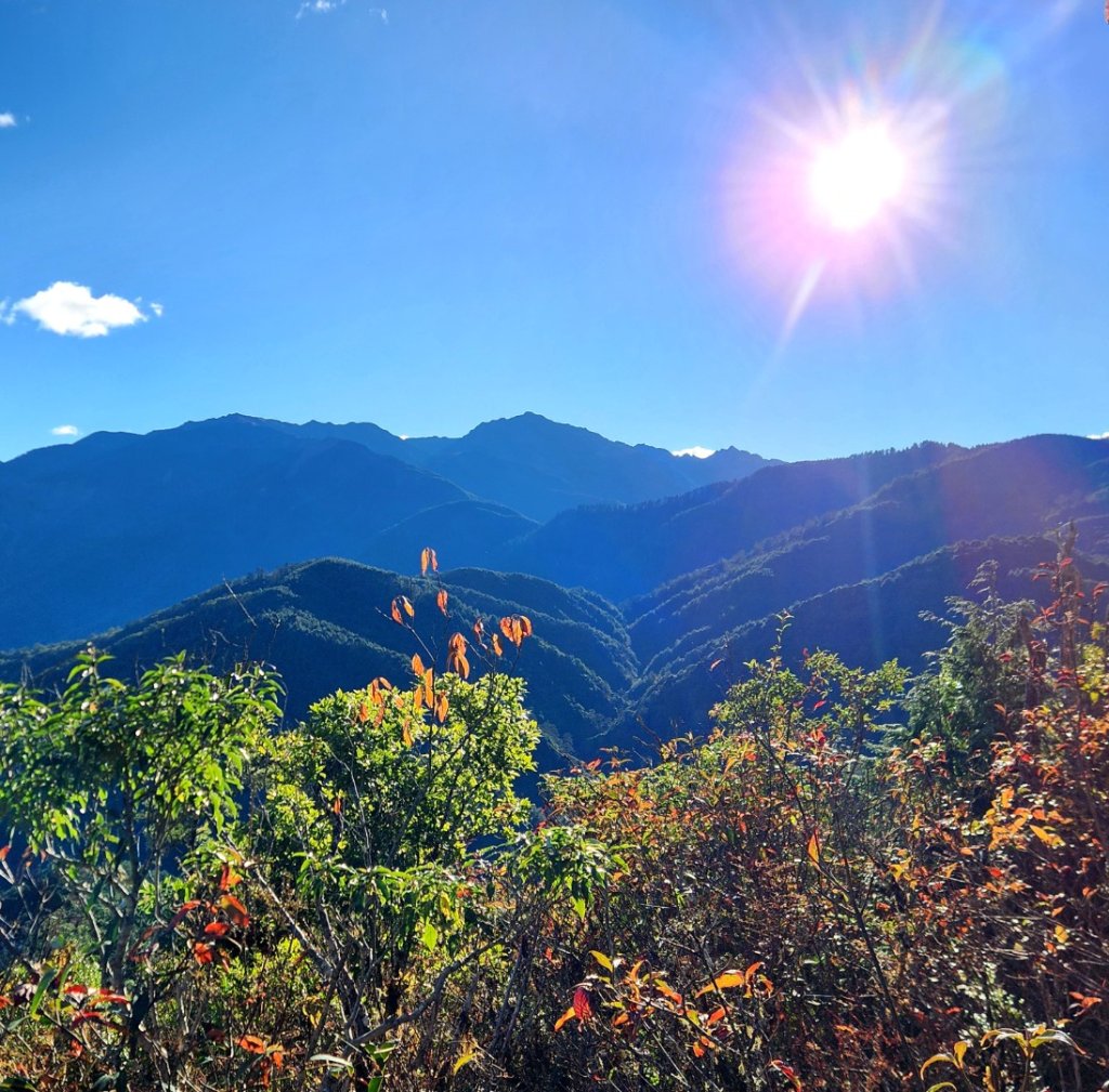 【中級山縱走】羅馬縱走，走進神木的夢幻童話森林世界_2943174