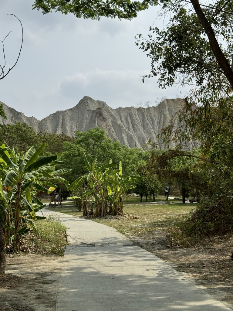 田寮月世界240330_2468629