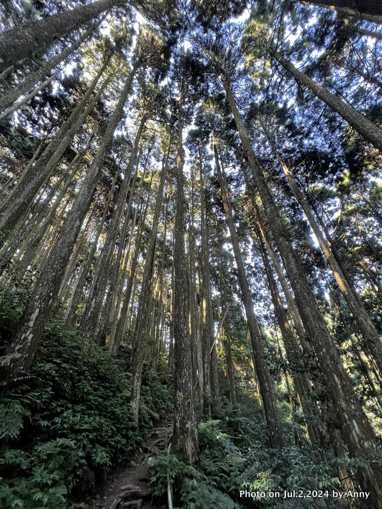 加里山好精彩_2547322