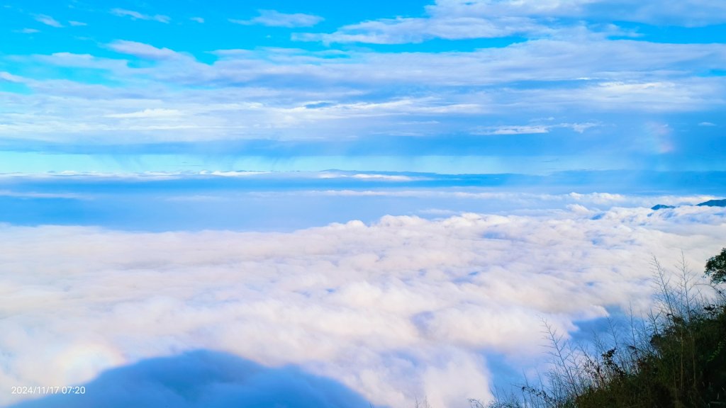 阿里山 #隙頂二延平 #頂石棹 #觀音圈 #雲海 #琉璃光 #雲瀑 #霧虹 11/17_2649781