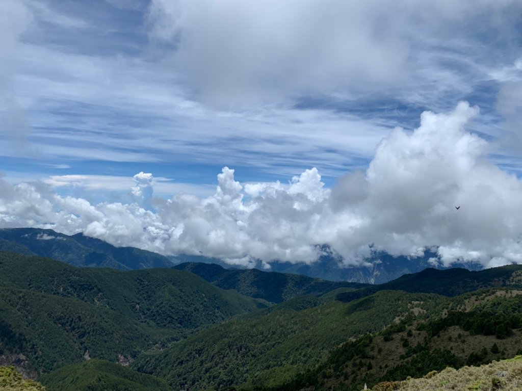20220625台東海端向陽山、向陽山北峰、三叉山、嘉明湖_1745530