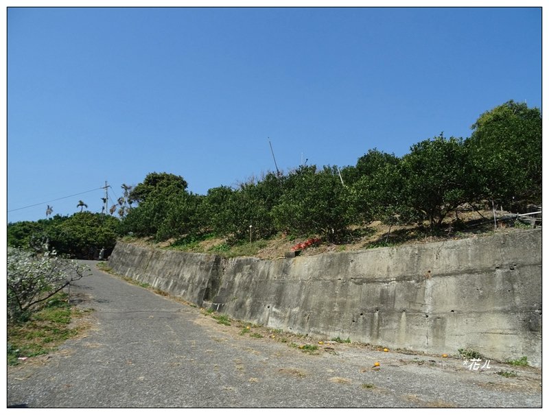 豐原/觀音山O形一圈_1263964