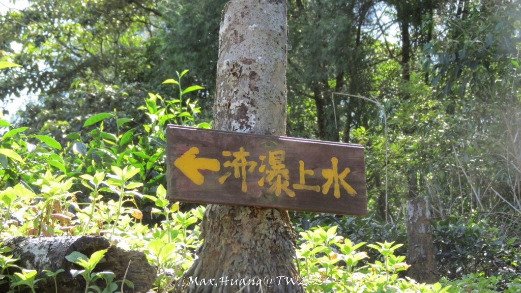 《南投》侏儸紀公園｜魚池澀水森林步道O繞20240629_2538480