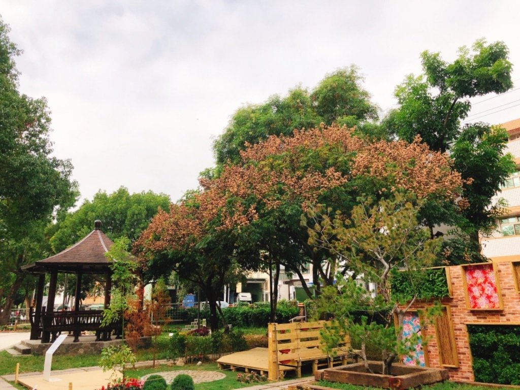 2018台中花博豐原葫蘆墩公園_465556