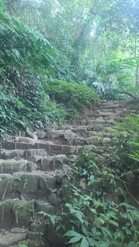 2026-0114溪州山小百岳_2984868