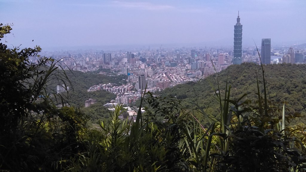 【臺北大縱走6】象山南港山縱走九五峰虎山_942843