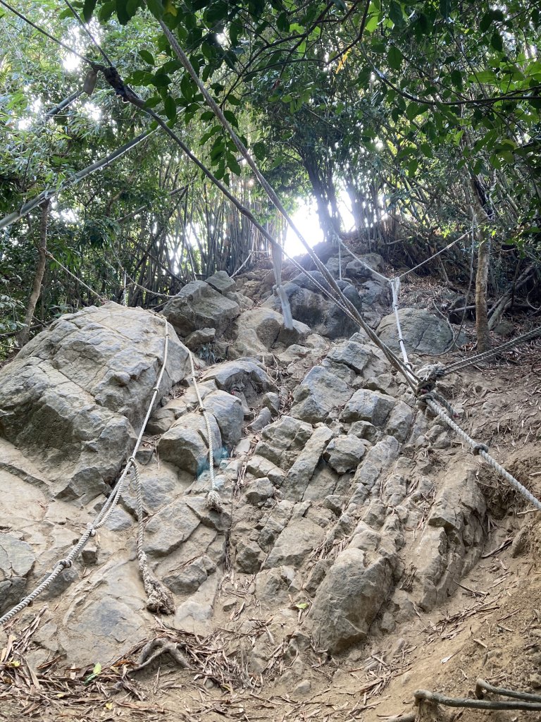 旗尾山步道封面圖