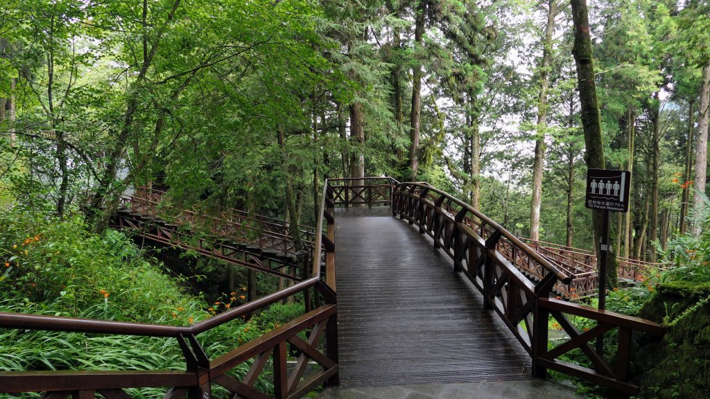 阿里山森遊區-祝山,對高岳步道_2537078