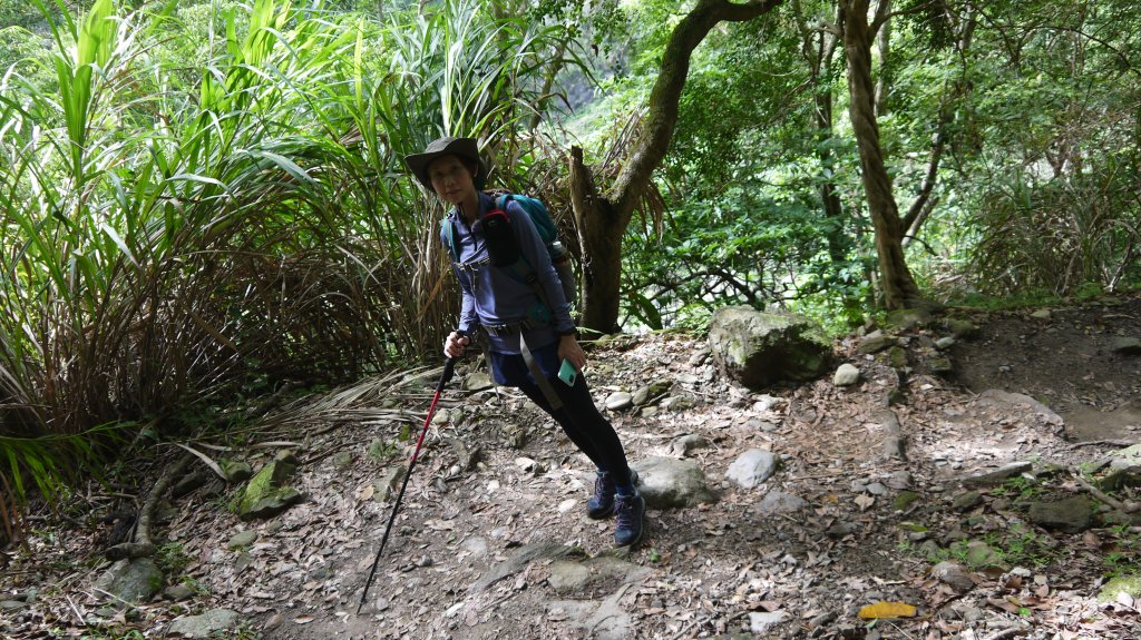 錐麓古道登山健行趣(古道)_1741880