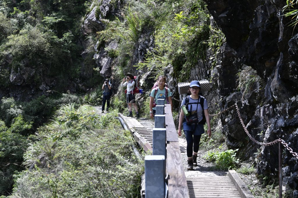 八通關上玉山_1025063