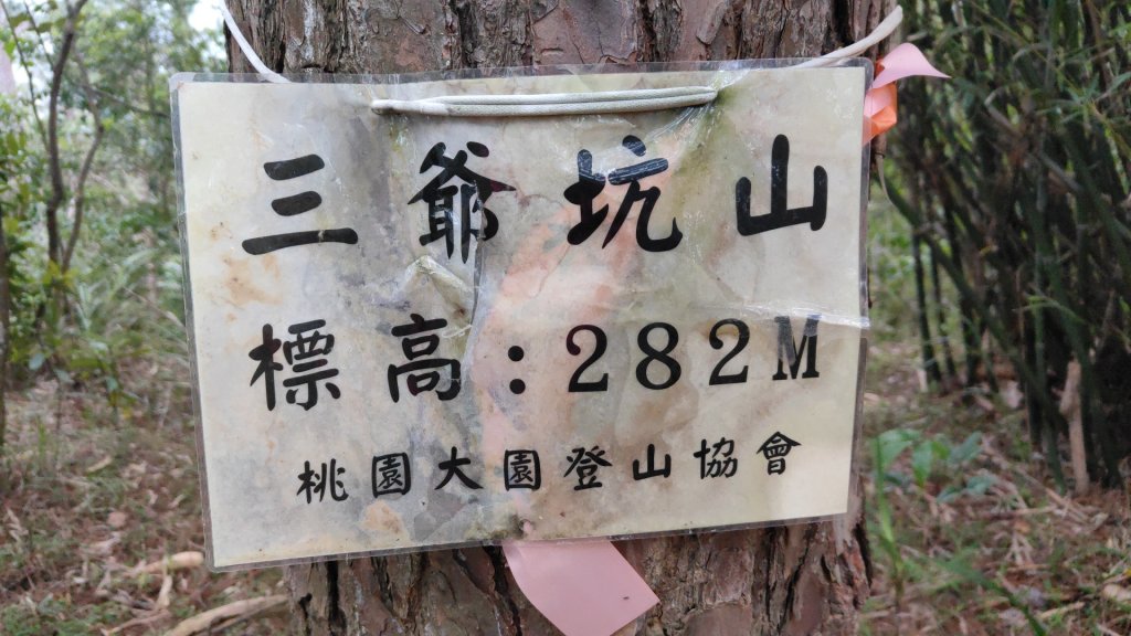 飛沙縱走33連峰2025年4月13日_2760324
