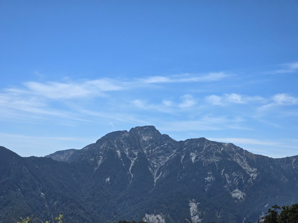 合歡北峰高山杜鵑盛開／龍膽點綴／紅毛杜鵑少許開花_2497443