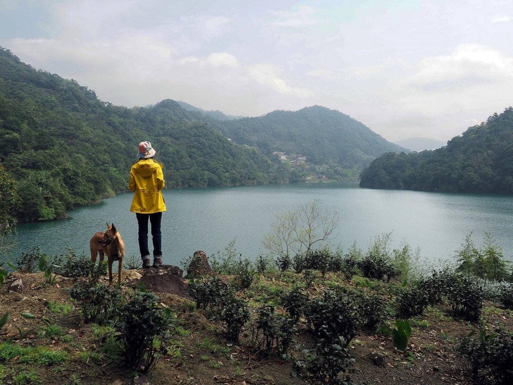 千島湖封面圖