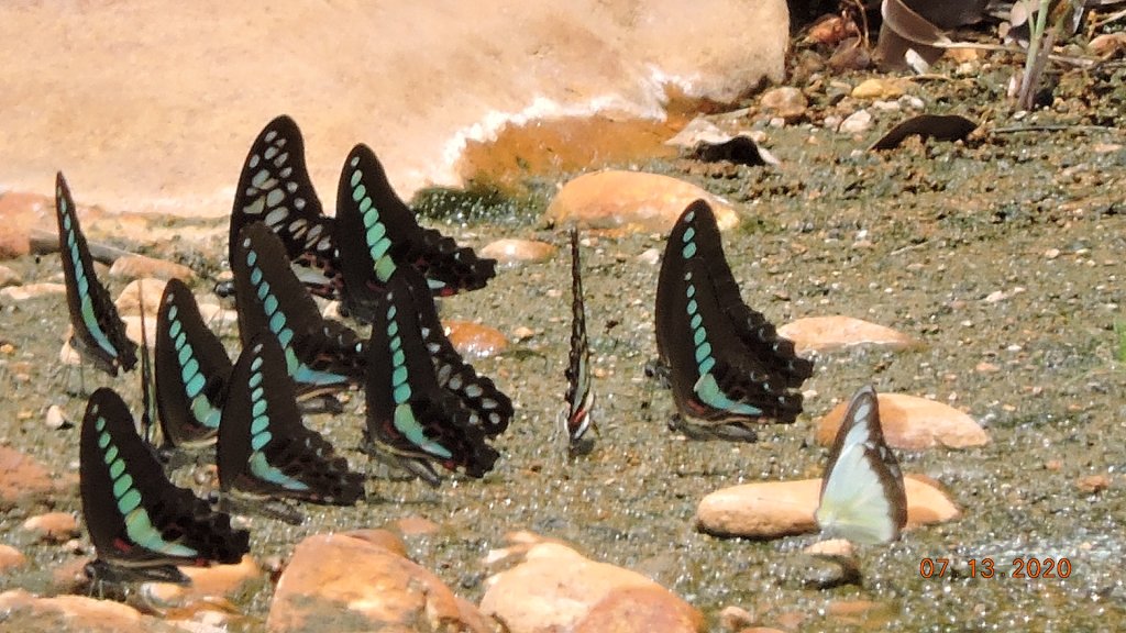 就是喜歡這個藍天白雲的FU_1032017