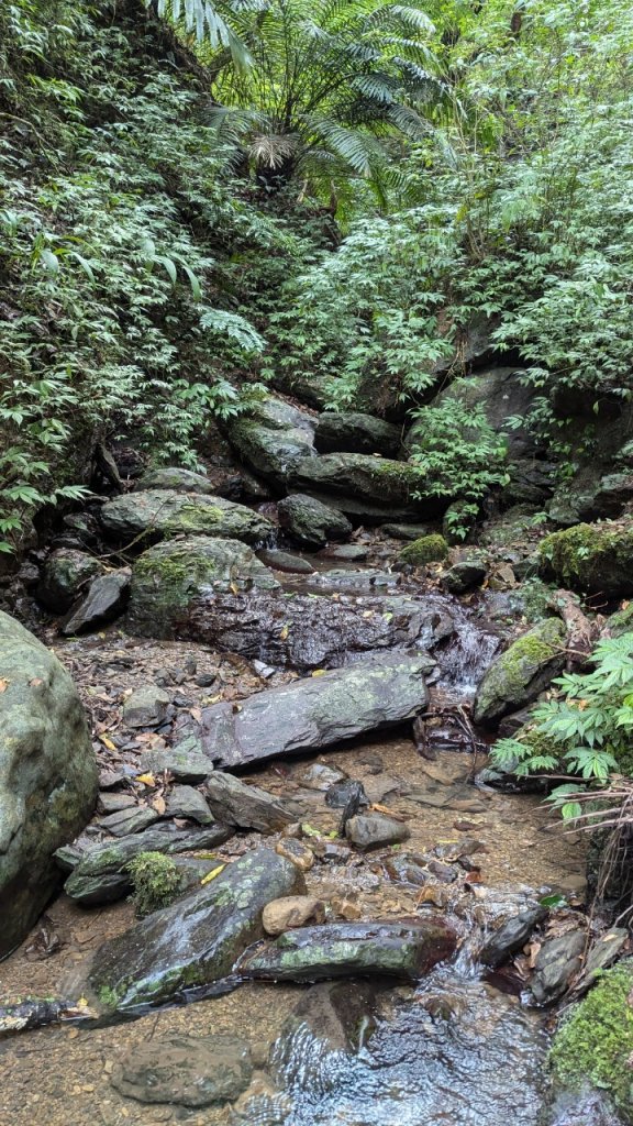 113.06.22坪溪古道-石坑山之旅_2533784