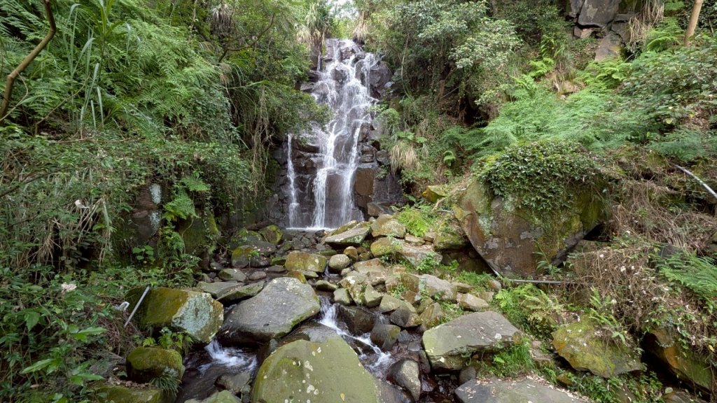 114.04.27草山觀瀑吊橋-紫明溪步道之旅_2771805