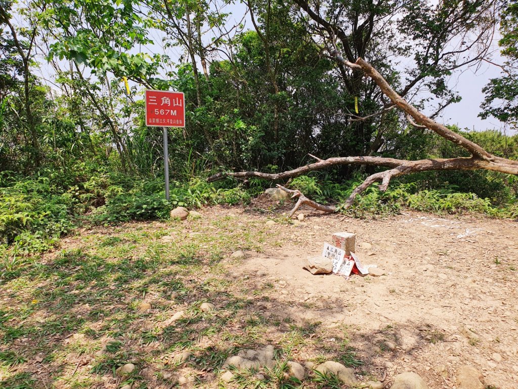 鳶嘴山，醜崠山，長壽山，榛山步道，三員縱走，文林古道，高梘頭山，糖塔山，鐘樓古道_1691616