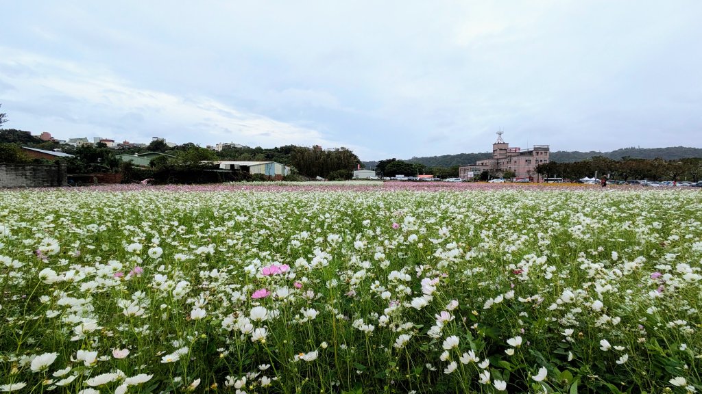 大溪花海的邀約_2650397