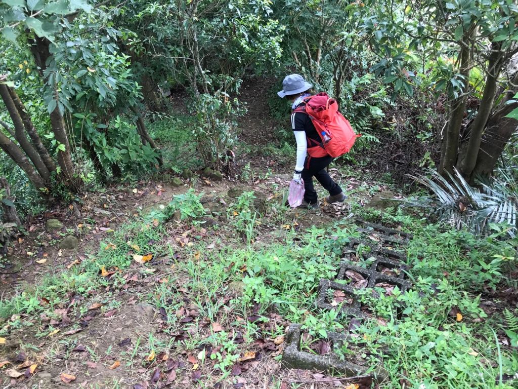 劉銘傳路上紅淡山環走_390546