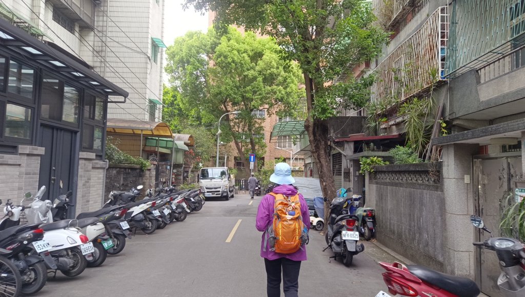 (姨婆趴趴走)第五十集:新北樹林大同山、青龍嶺、大棟山諸峰連走_2751516