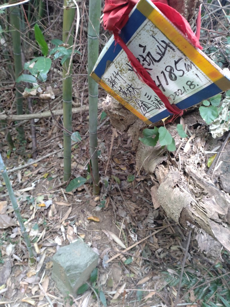 20231130燥坑山封面圖