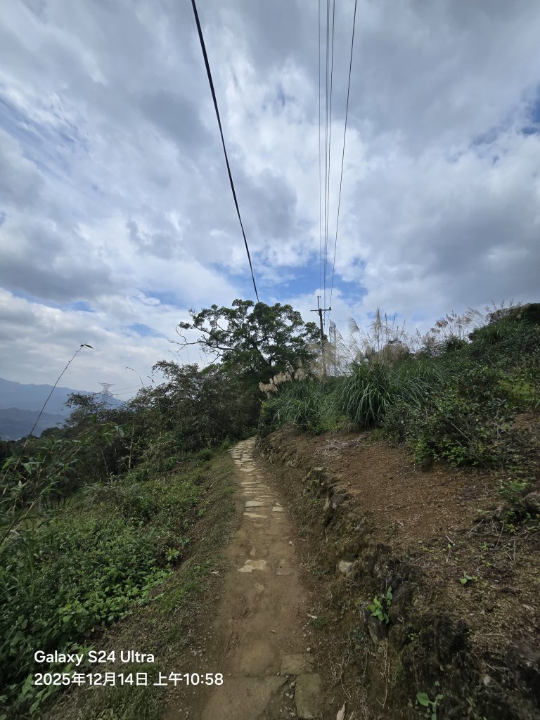 2025-12-14微笑山線：【二格山系】銀河洞越嶺段_2962164