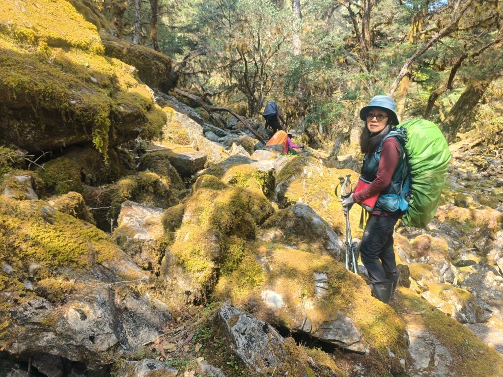 20240322 馬博8天縱走~第七天，馬西山，喀西帕南山_2471526