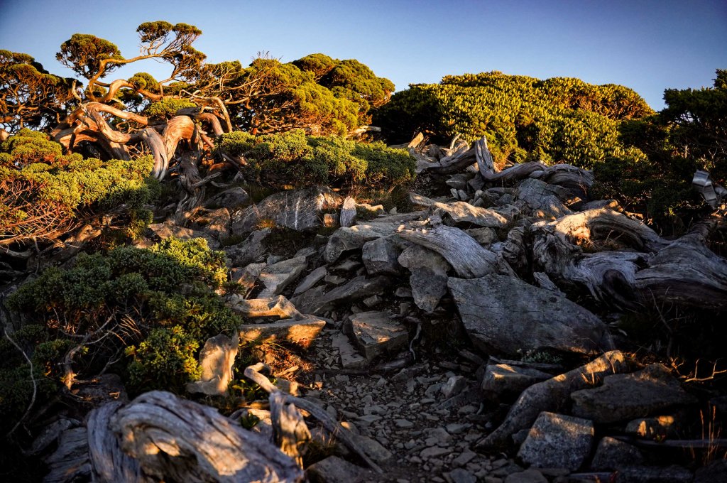 帝王之座-南湖主峰線｜南湖大山＋南湖南峰＋巴巴山_2884948