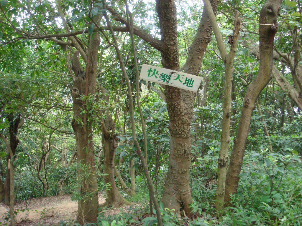 劍潭山親山步道_1792747