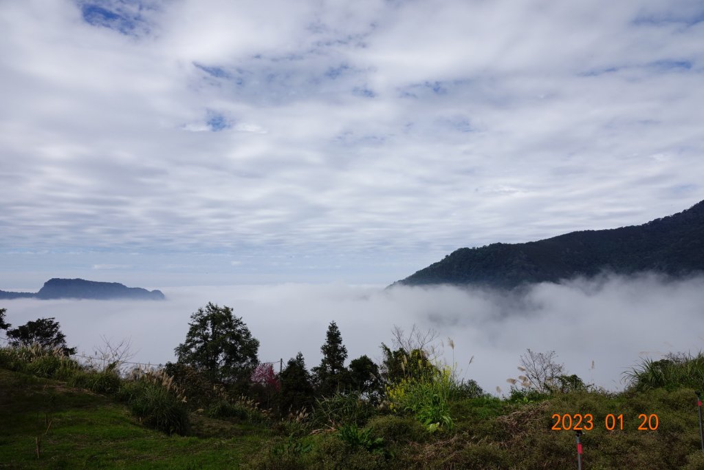 苗栗 南庄 鹿山、鹿坑山_2001816