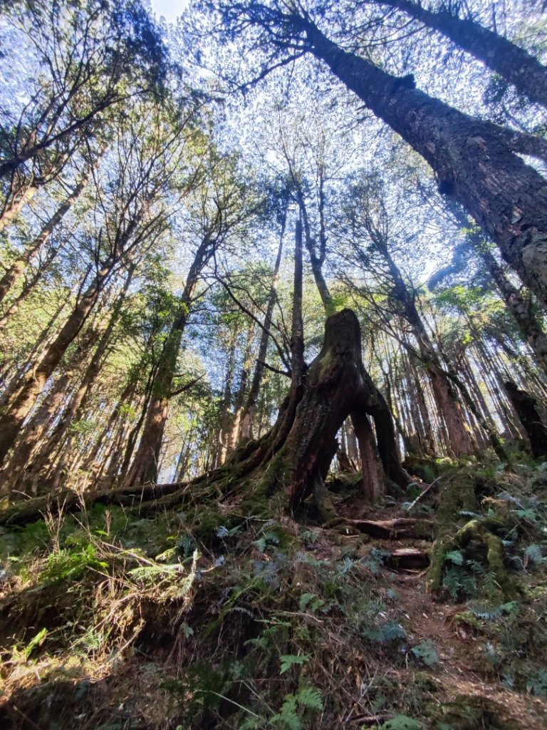 八仙佳保_2746095