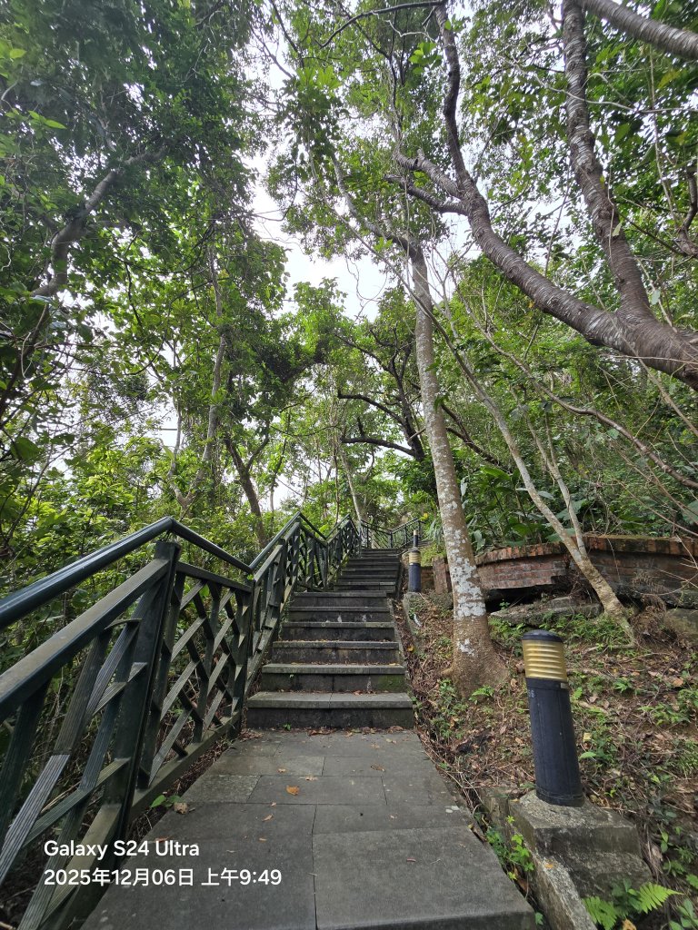 2025-12-06微笑山線：【二格山系】和美山螢火蟲段_2956818