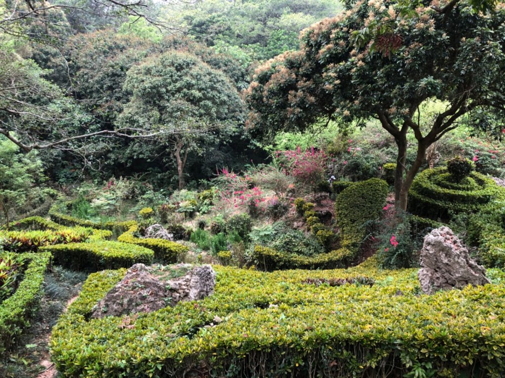 2020.04.02北柴山_900716