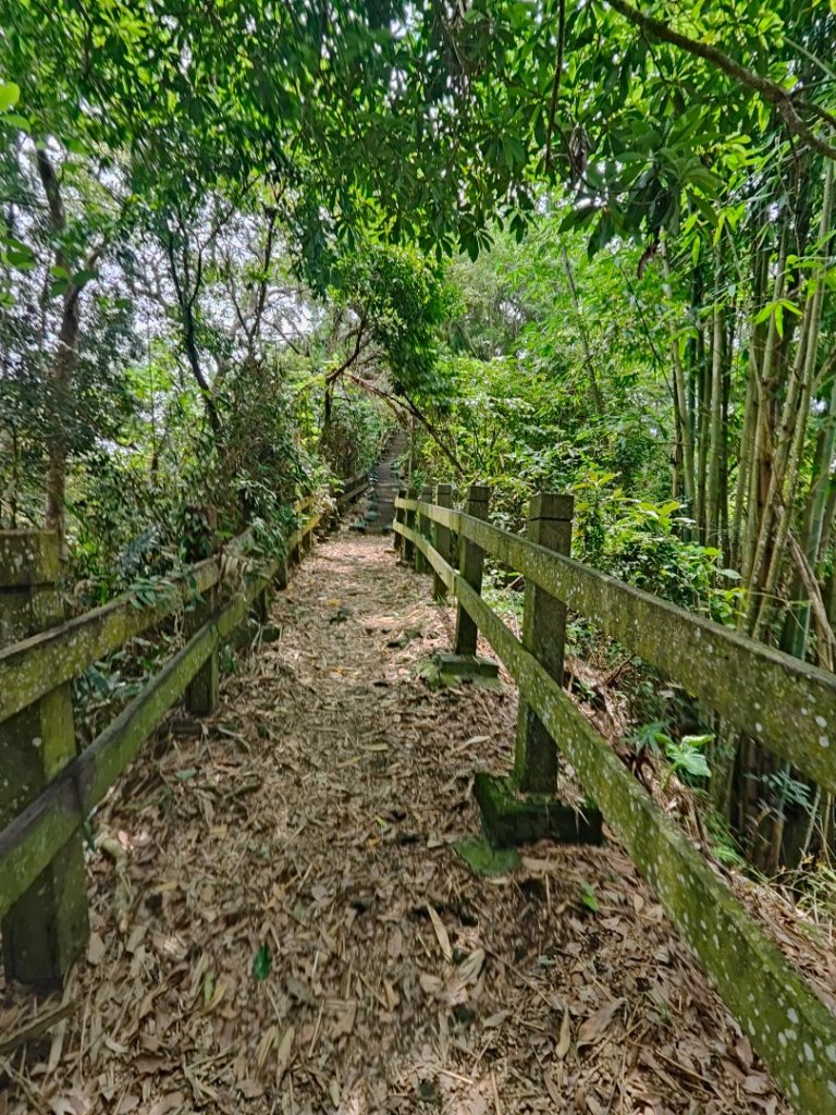 #64小百岳崁頭山、獅額山_2528567