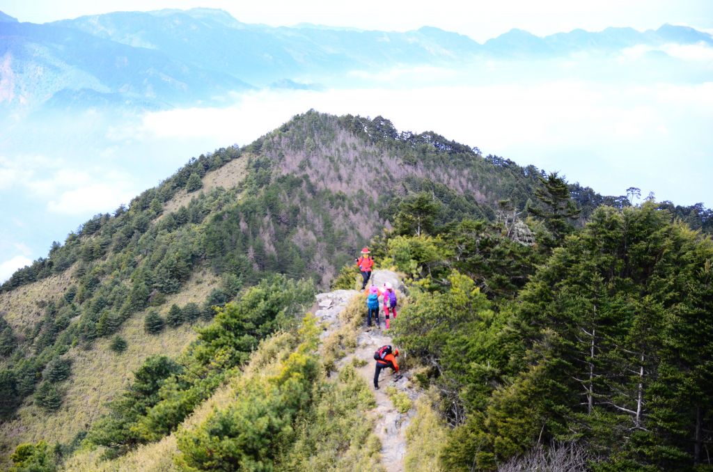  坐車比登山還累的大山...郡大山_99896