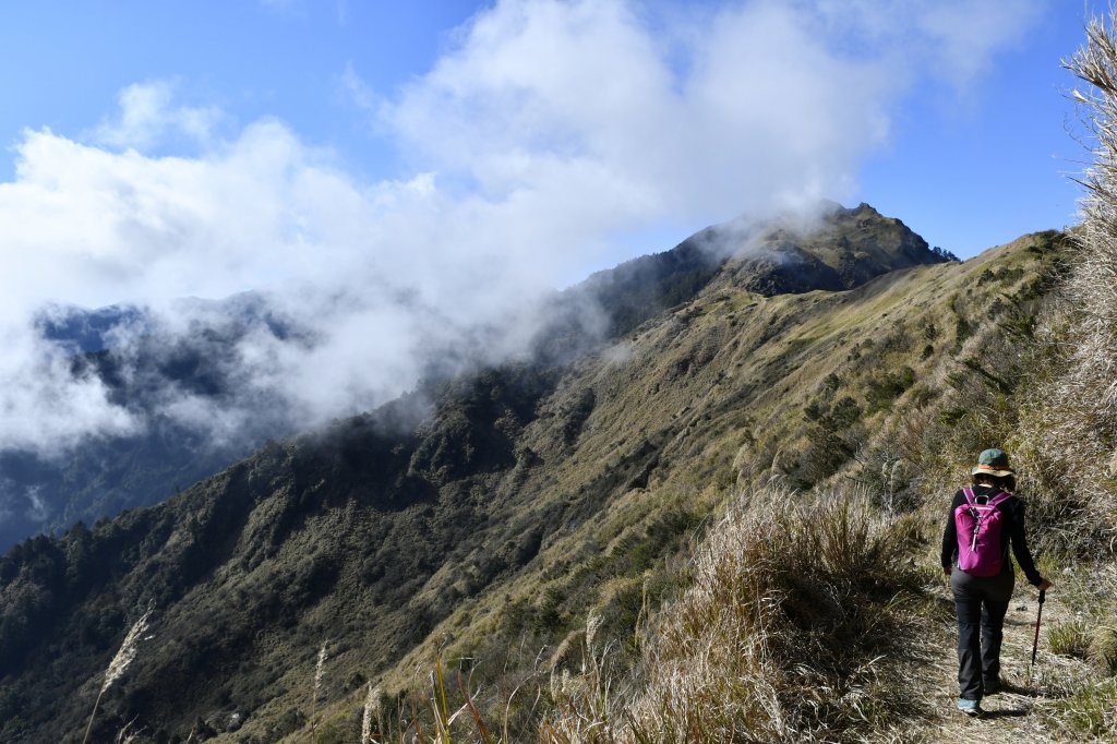 尋一段老獵路：深堀山西南稜（順訪卡賀爾山）_916741