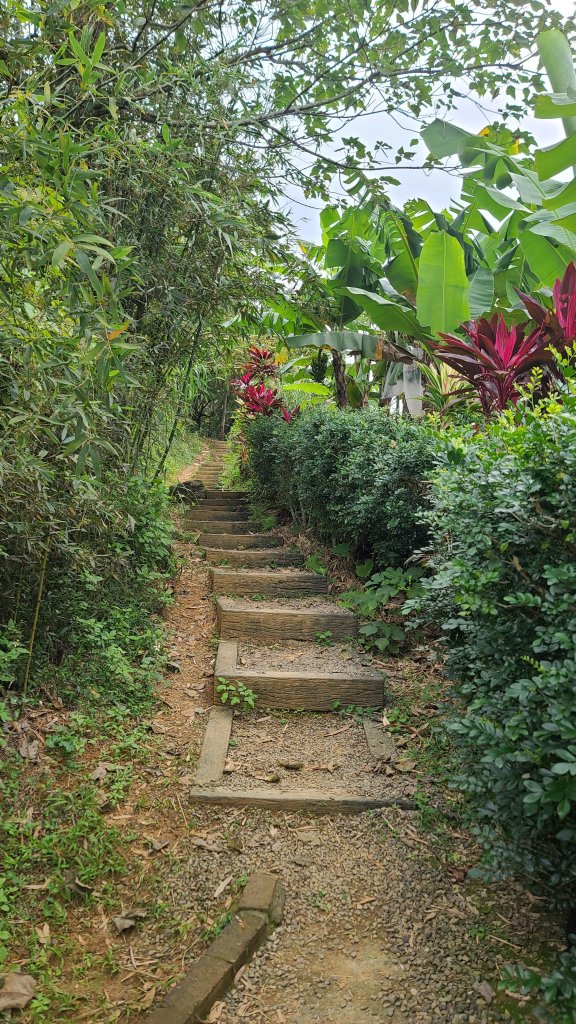 2024-0107台北大縱走第六段_2437700