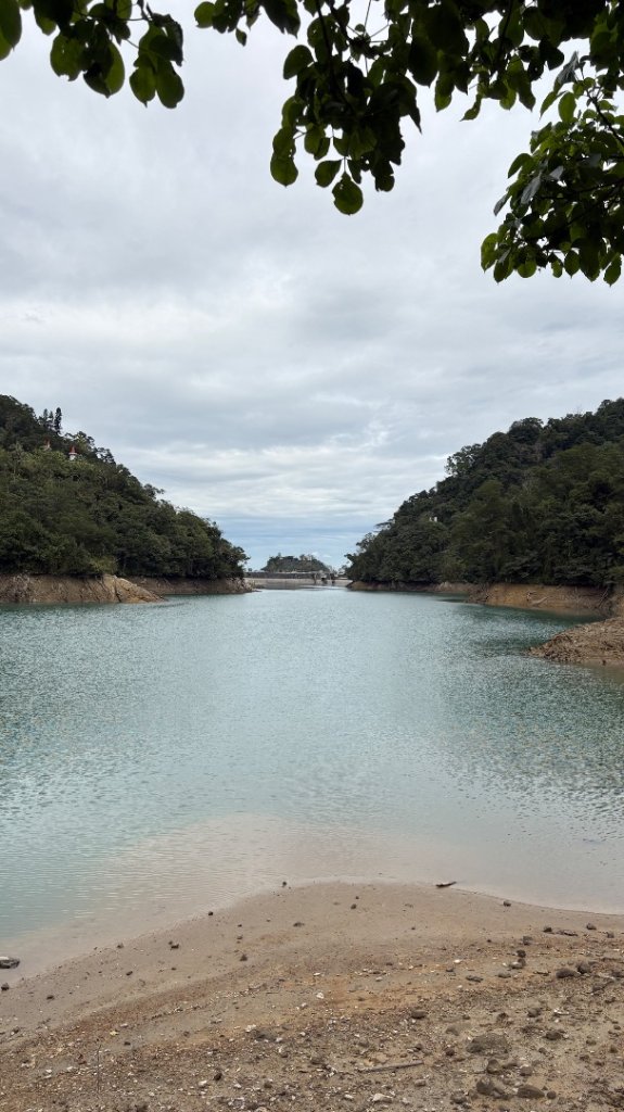 與猛禽共舞_3008449