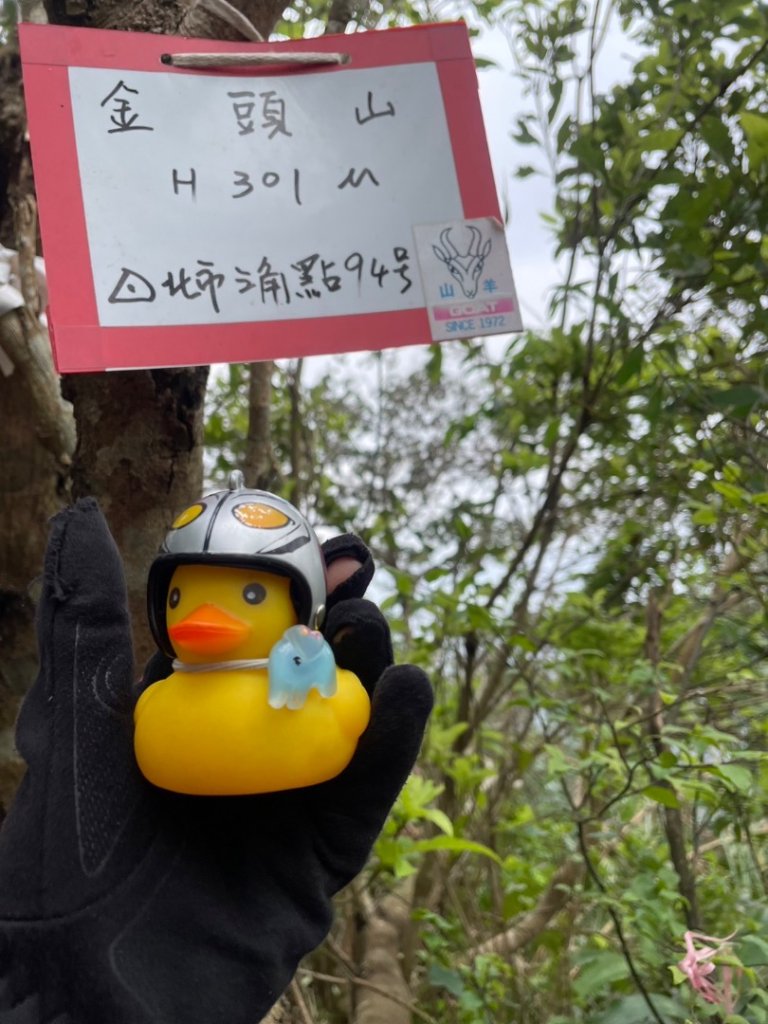 銀河洞越嶺貓空-新高麗坑山-銀獅縱走-猴山岳群峰+三條魚縱走_2699529