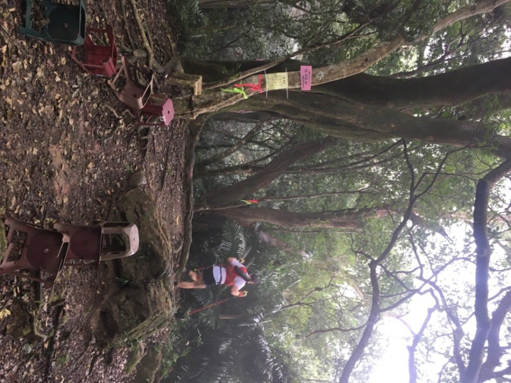 頭寮山o(慈湖、秘密花園咖啡☕️_2648993