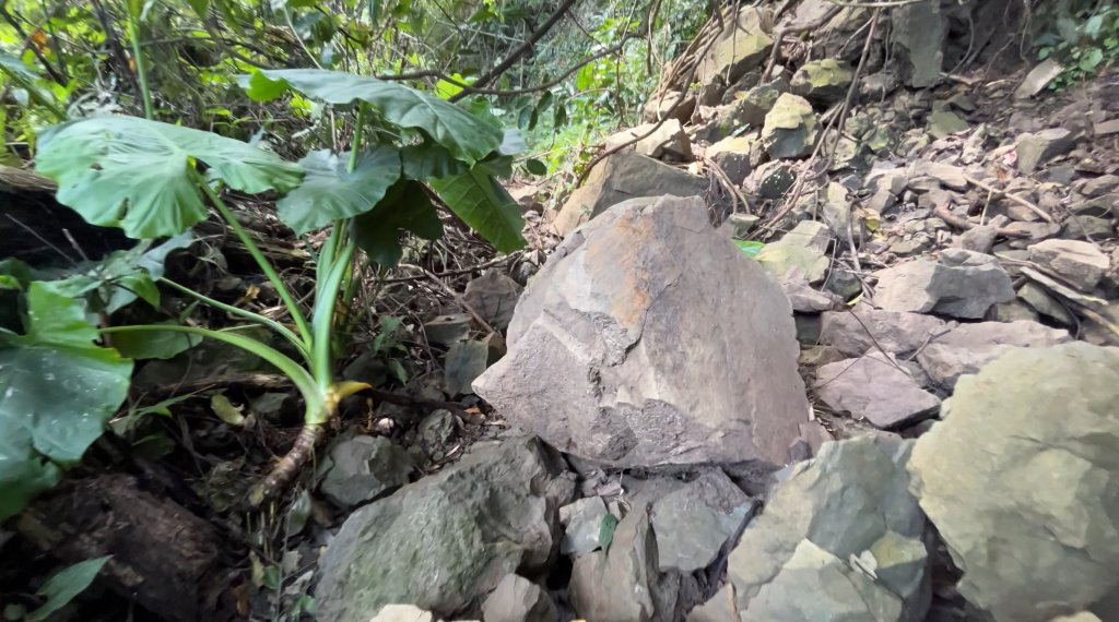 九份二山_2597561