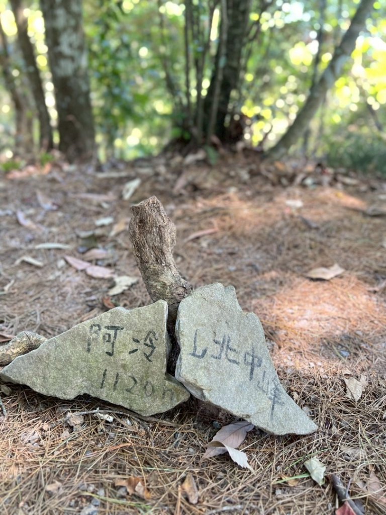 阿冷山 谷關第八雄_2877448