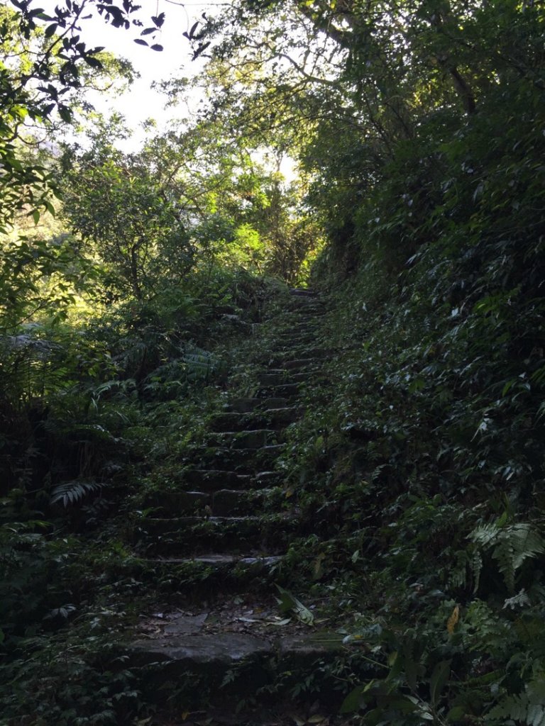 20180207荖寮坑_879874