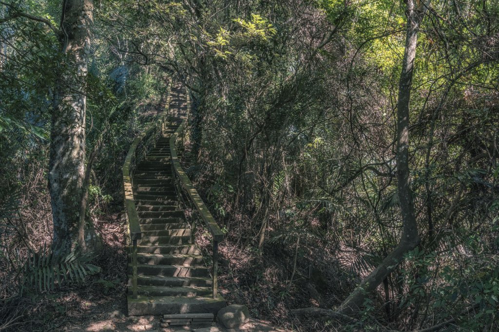 苗栗獅頭山-20211210_1547235