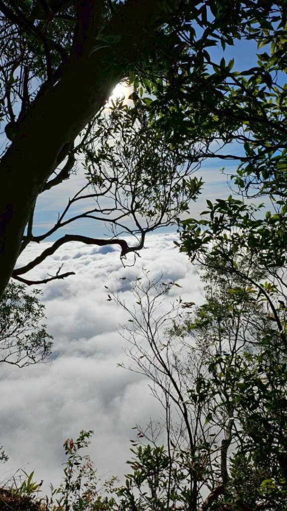 20251106北大武山步道☁️ 喜多麗雲海_2931350