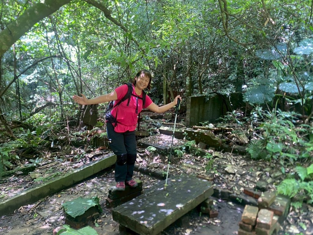 苗栗縣獅潭鄉鳴凰古道O型縱走_2803664