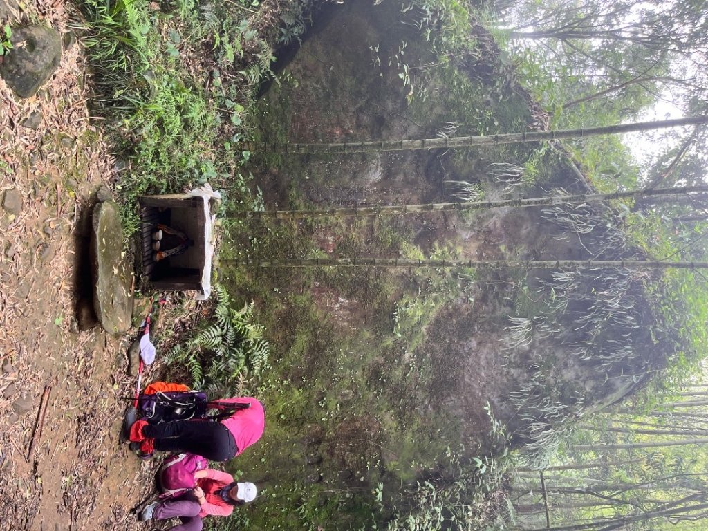 20250525_鳳凰山步道（南投小百岳）_2855880