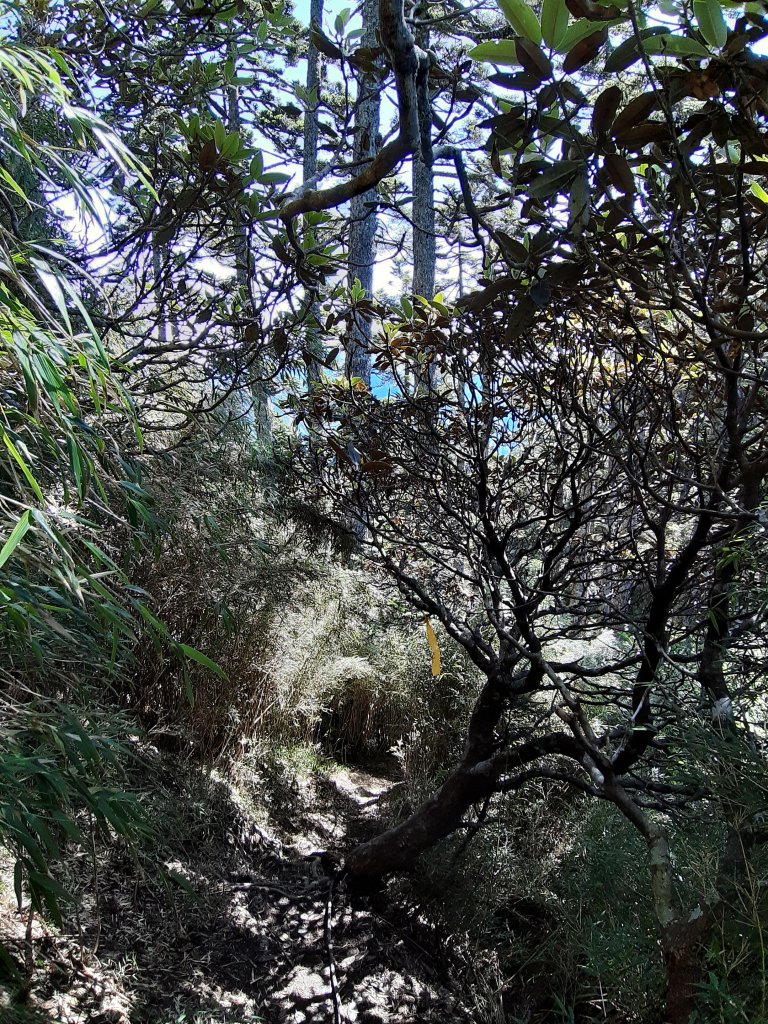 畢祿羊頭單攻之旅._636836