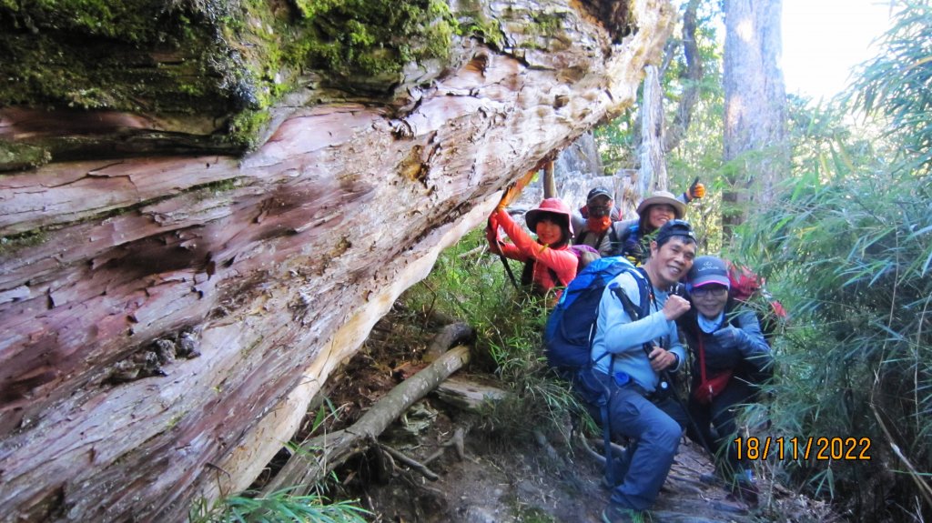 白姑大山 - 障礙連連 嗆辣迷人！_1923474